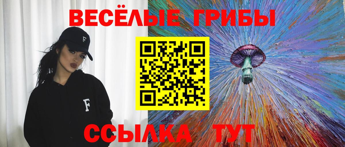 купить  цена  Вход с VPN  Краснодар  Галлюциногенные грибы MAGIC MUSHROOMS 