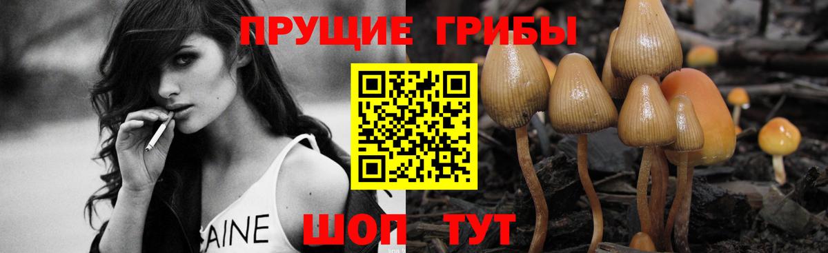 Галлюциногенные грибы Magic Shrooms Краснодар